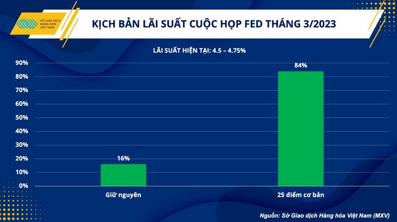 Áp lực từ chính sách tiền tệ và kỳ vọng lạc quan