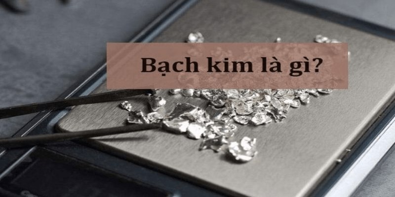 Tìm hiểu về khái niệm bạch kim